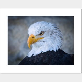 American Eagle Posters and Art